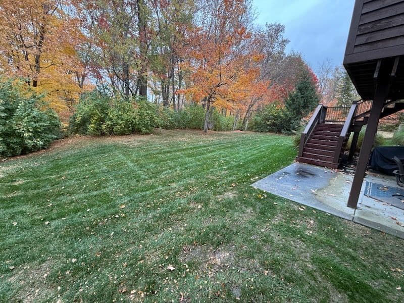Efficient Leaf Mulching and Removal Adds Lawn Value