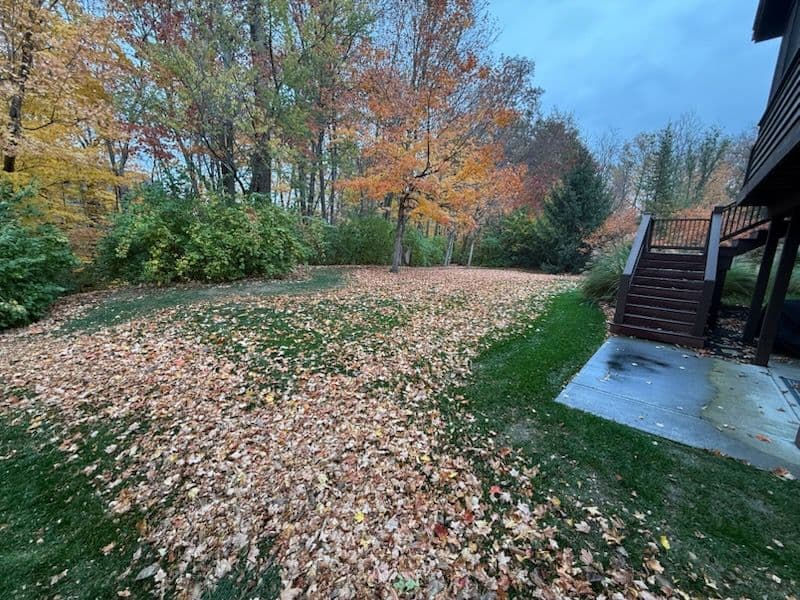 Gallery photos for Efficient Leaf Mulching and Removal Adds Lawn Value: Image #1