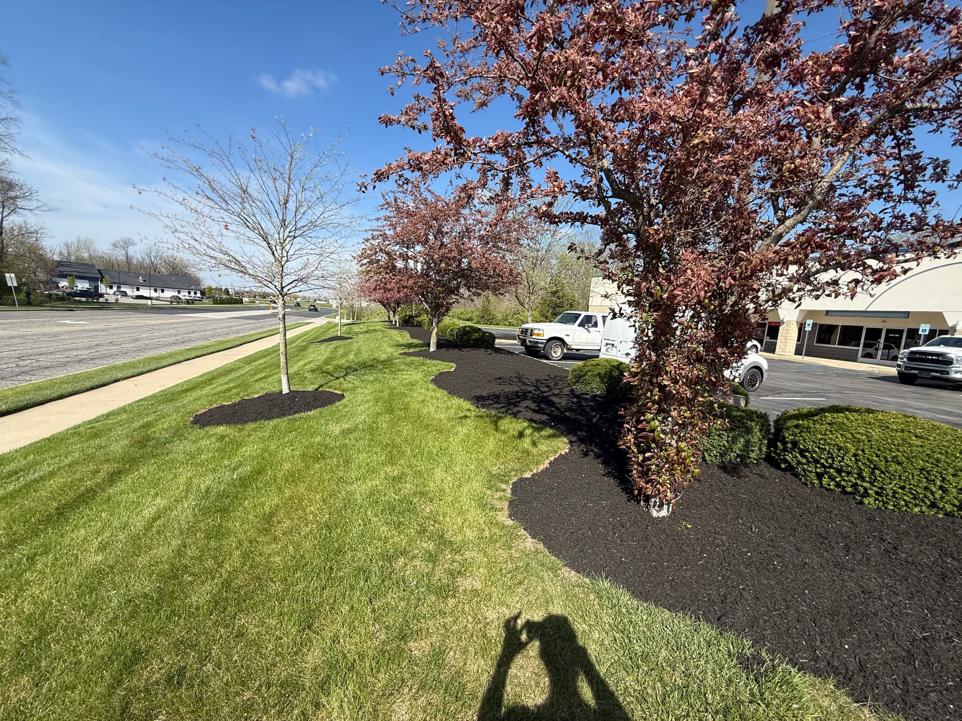 Commercial Mulch and Cleanup Done Right in Noblesville image