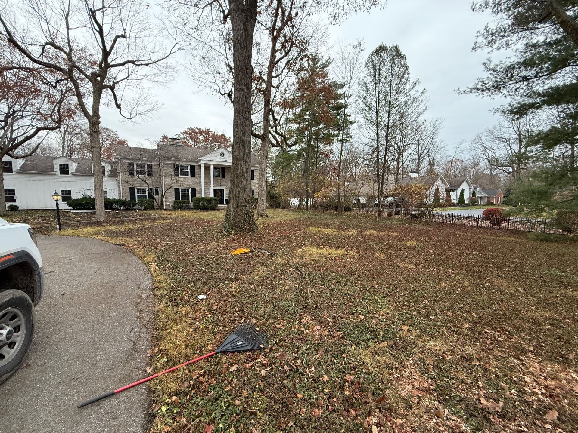 Gallery photos for Effective Leaf Cleanup in Indianapolis: Image #4