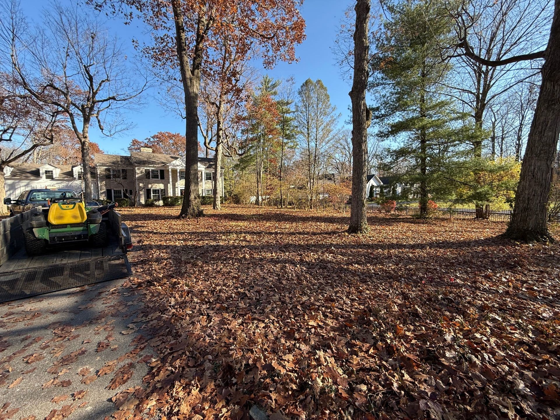 Gallery photos for Effective Leaf Cleanup in Indianapolis: Image #1