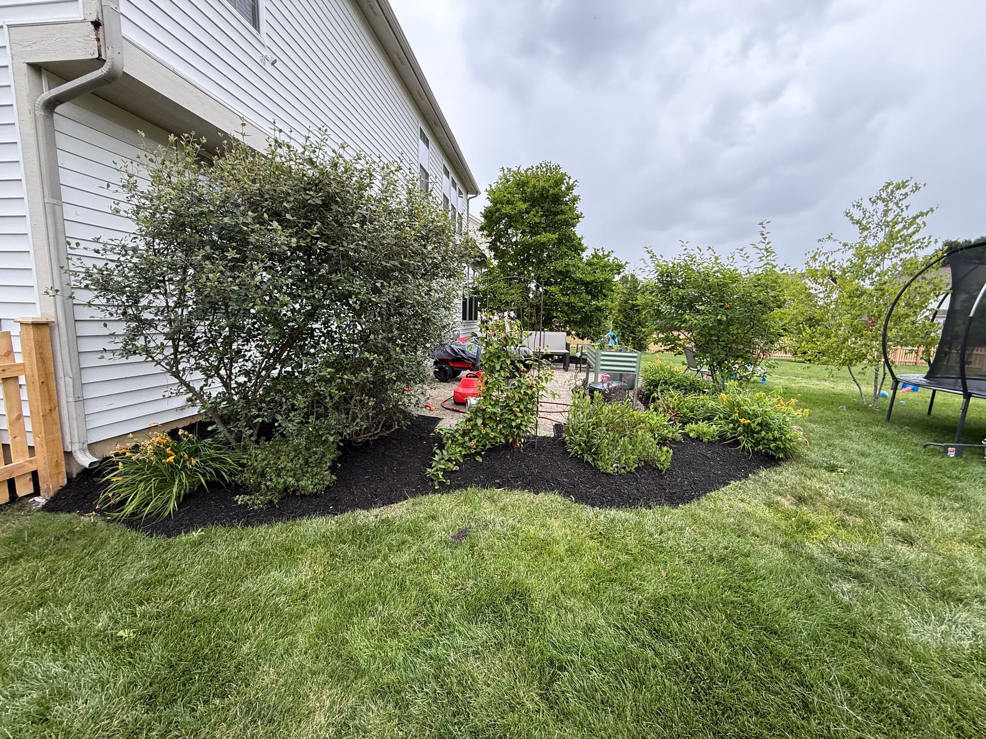 Gallery photos for Black Mulch Installation That Pulls a Whole Yard Together in Westfield IN: Image #1
