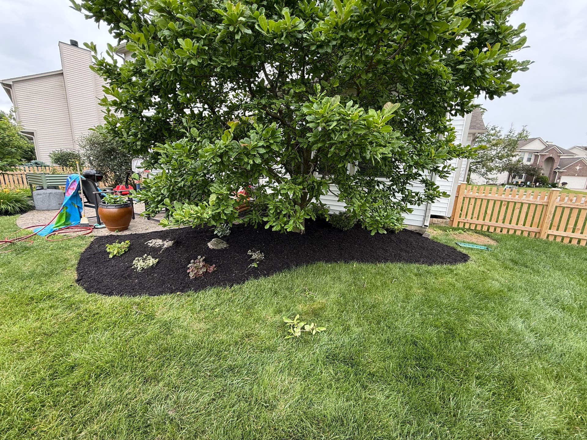 Gallery photos for Black Mulch Installation That Pulls a Whole Yard Together in Westfield IN: Image #2